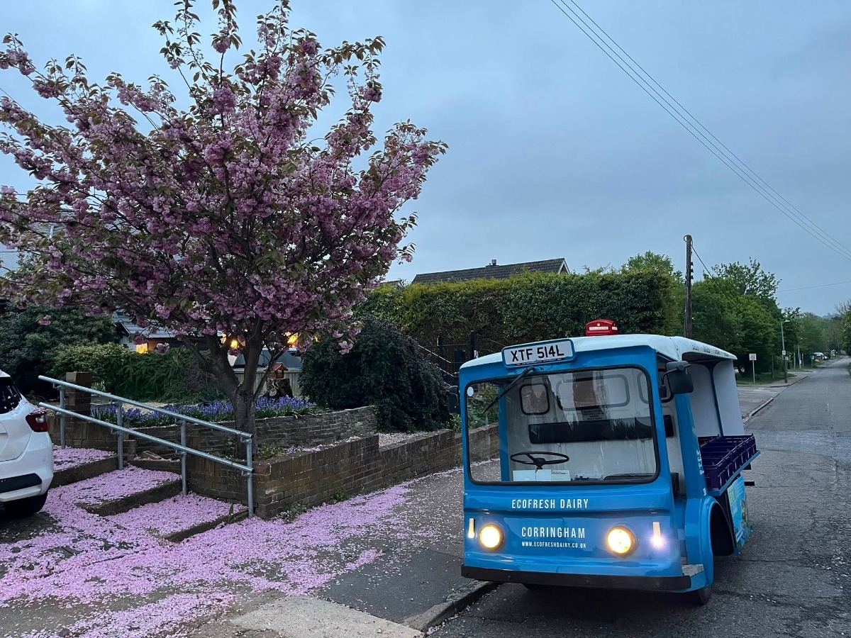 1973 Other Other Image 1